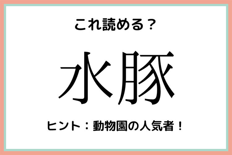 水豚 みずぶた 読めたらスゴイ 動物の難読漢字 4選 モデルプレス